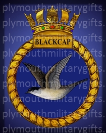 HMS Blackcap Magnet